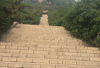 华山公园第 14 张图片