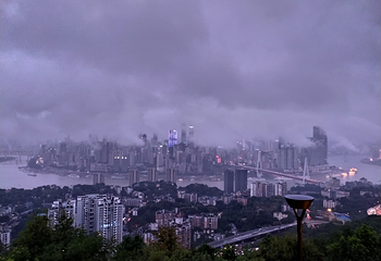南山一棵树观景台第 42 张图片