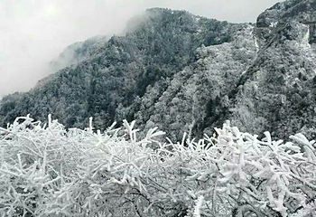 牛背山第 64 张图片
