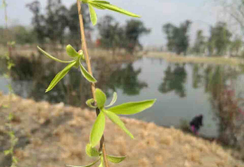 蜀南竹海风景名胜区-忘忧谷第 14 张图片