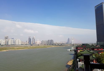 八一公园第 29 张图片