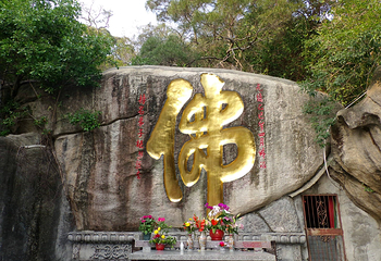 厦门园林植物园-五老峰第 19 张图片