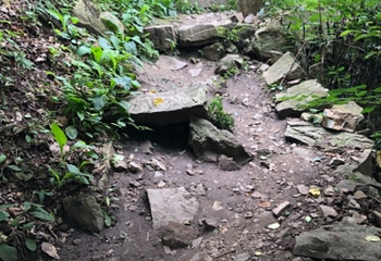 九山顶自然风景区第 43 张图片