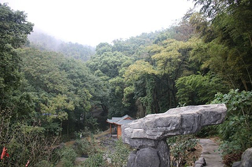梅岭太阳谷大型梅花文化节第 22 张图片