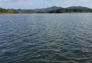 花亭湖风景区第 39 张图片