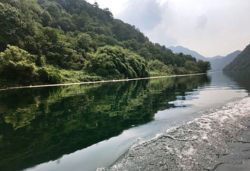 新安江龙舟漂游第 40 张图片