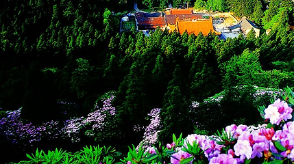 天台山景区第 109 张图片