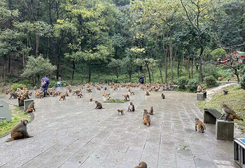 弘福寺第 17 张图片