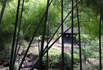 野鹤湫风景区第 19 张图片