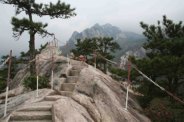 紫荆山公园第 5 张图片