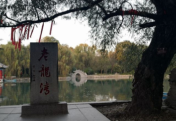 老龙湾第 31 张图片
