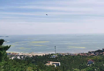 青岛八大峡第 22 张图片