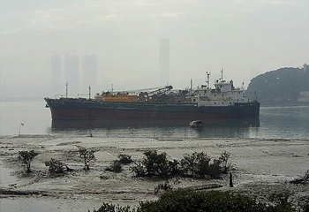 厦门海沧大桥旅游区第 30 张图片