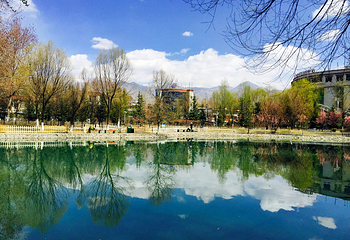 龙王潭公园第 9 张图片