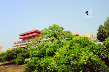 青岛大学(浮山校区)第 15 张图片