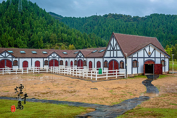 千岛湖马术公园第 12 张图片