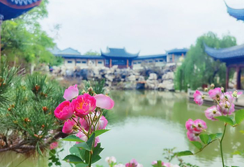 宛园第 71 张图片
