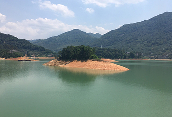 流溪河国家森林公园第 47 张图片