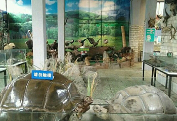 沈阳中山公园动物园第 19 张图片