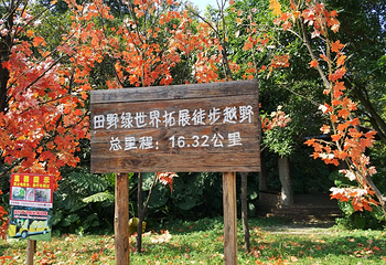 田野绿世界第 50 张图片