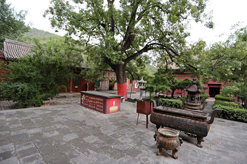 广胜寺第 155 张图片