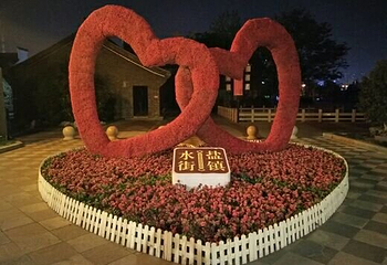 盐镇水街第 30 张图片