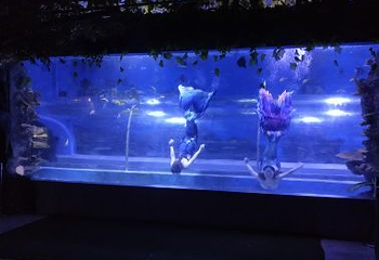 绵阳海底世界第 25 张图片
