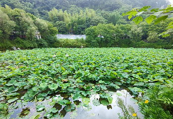 圣灯山第 18 张图片