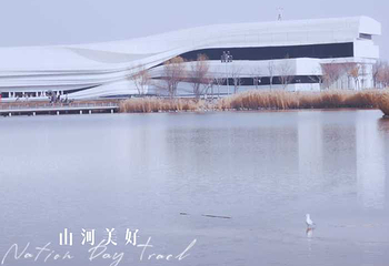 银川当代美术馆第 14 张图片