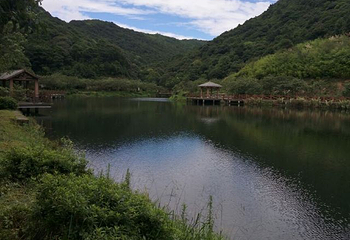 五指山第 23 张图片