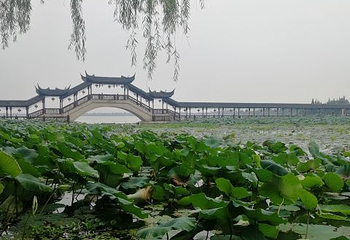 锦溪古镇第 128 张图片