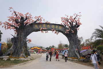 天适樱花悠乐园第 56 张图片