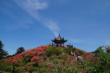 龟峰山景区第 33 张图片