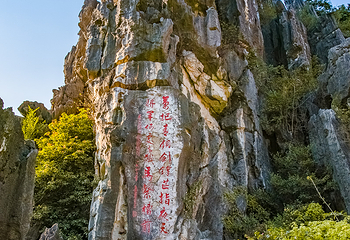 春湾石林第 19 张图片