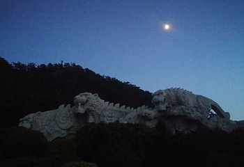 老虎滩广场第 4 张图片