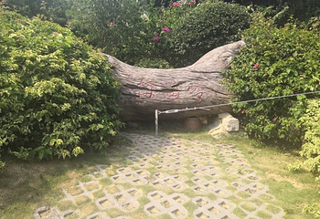 怪坡第 17 张图片