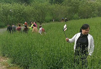 宜春花博园第 14 张图片