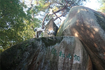 太鹤山第 6 张图片