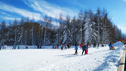 神农架国际滑雪场第 29 张图片