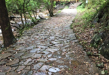 淡竹休闲谷第 24 张图片