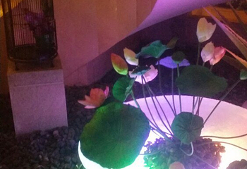 汉拿山汤泉(亚运村店)第 46 张图片