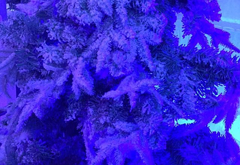 大角湾冰雪王国第 19 张图片