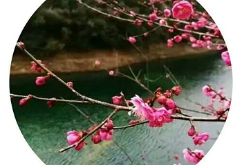 武宁花源谷第 16 张图片