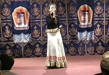 大屯彝族土司庄园第 25 张图片