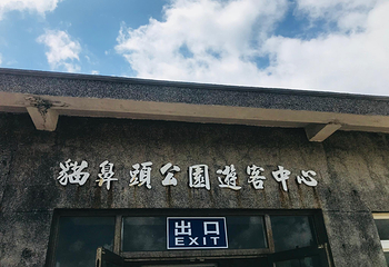 猫鼻头第 19 张图片