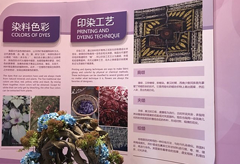 金昌花文化博览馆第 4 张图片