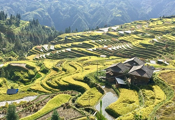 加榜梯田第 75 张图片