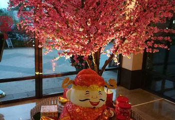 古象温泉度假村第 17 张图片