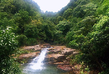 亚婆田白水寨自然生态旅游度假区第 29 张图片