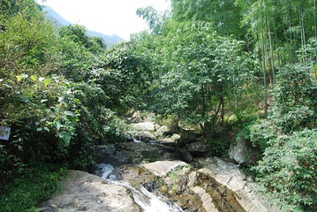 神龙川风景区第 59 张图片